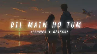 Dil main ho tum lofi (slowed & reverb) song || lofi song || slowed & reverb ||