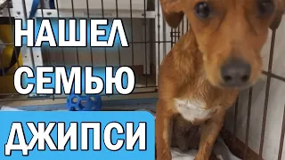 Джипси нашел свою семью! Троекратное Ура! Ура! Ура!