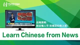 Chinese news stories