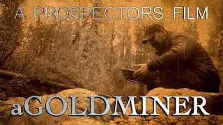 A Gold Miner