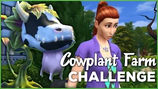 A Countryside Sized Helping of Allergies?! 🐄🌱 Sims 4 Cowplant Farm: Episode #3