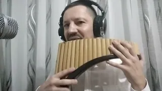 The Winner Takes It All - ABBA (Panflute cover)