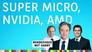 KI-Crash, Nvidia, AMD, Super Micro, Tesla, Meta, Netflix uvm. – Rendezvous mit Harry vom 22.04.2024