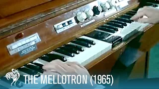 The Mellotron: A Keyboard with the Power of an Orchestra (1965) | British Pathé