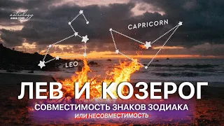 ЛЕВ И КОЗЕРОГ СОВМЕСТИМОСТЬ ЗНАКОВ ЗОДИАКА