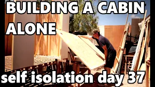 Building a Cabin, tiny house Alone in the Self Isolation (S1 Ep5)