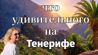 Что интересного можно посмотреть на Тенерифе