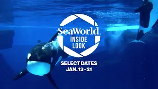 Inside Look 2024 | SeaWorld San Diego