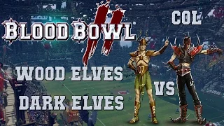 Murderous wood elves! Blood Bowl 2 - Wood elves (the Sage) vs Dark elves - COL G18