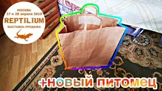 РАСПАКОВКА С РЕПТИЛИУМА, НОВЫЙ ПИТОМЕЦ! EXO TOP