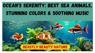 Ocean's Serenity: Best Sea Animals, Stunning Colors & Soothing Music