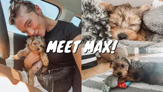 WE GOT A PUPPY! first 24 hours with our baby Yorkie