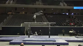Fred Richard - Parallel Bars - 2022 Winter Cup - Senior Men Day 1