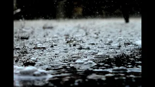 "8-Hour Rain Sounds: The Ultimate Ambient Background for Relaxation, Sleep, and Focus Black Screen