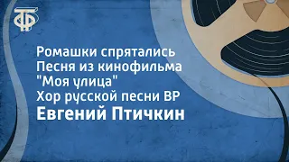 Евгений Птичкин. Ромашки спрятались. Песня из кинофильма "Моя улица". Хор русской песни ВР (1971)