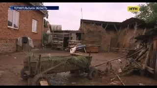 На Тернопільщині вода знищила городи та тварин