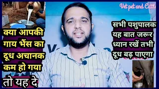 क्या आपकी गाय भैंस का दूध अचानक कम हो गया?||तो यह करें||Kya Aapki Cow Buffalo ka milk kam ho gaya