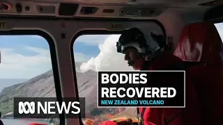 NZ military launches mission to White Island volcano to bring back tourists' bodies | ABC News