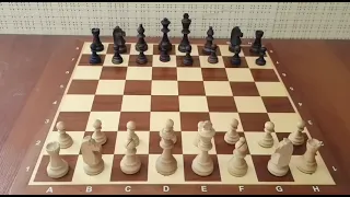 Эта ЛОВУШКА повергла в ШОК весь мир! Самый наглый МАТ в истории шахмат  Шахматы ловушки 1