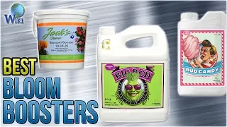 10 Best Bloom Boosters 2018