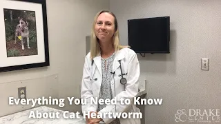 Everything You Need to Know About Cat Heartworm