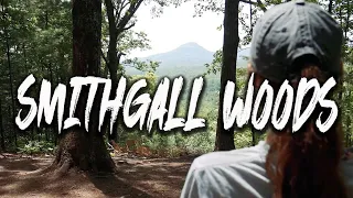Smithgall Woods State Park | Georgia State Parks | Things To Do Near Helen Georgia