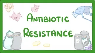 GCSE Biology - What is Antibiotic Resistance? Why Antibiotic Resistance is a HUGE issue #81