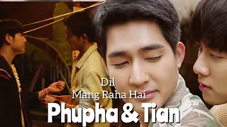 BL||💞Phupha× Tian💞||💕A Tale Of Thousand Stars💕||Hindi Mix🎶||Thai Mix💕