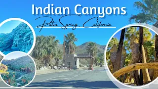 Indian Canyon Hiking Trails , Palm Spring, California | Best Hiking Trails in Palm Spring