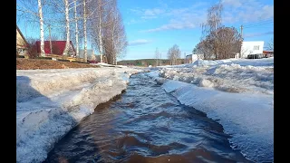 Пришла весна. Опиливаем Клённик. Заготовка дров. Готовим еду на печке. Типичная жизнь в деревне.