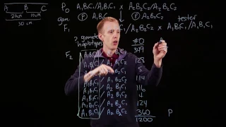 Three-point mapping and gene order