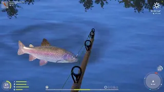 Russian Fishing 4: куори и радужная...