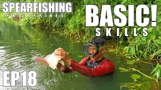 EP18 - PAANO MAKARAMI HULI TILAPIA #spearfishing #spearfishingphilippines #spearfishingcatchandcook