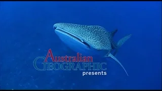 Christmas Island - Part 1: An introduction to this unique natural environment