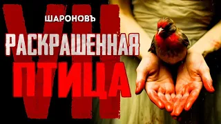 РЕАЛЬНАЯ ИСТОРИЯ | ВОЙНА ГЛАЗАМИ РЕБЁНКА | Раскрашенная Птица | Ежи Косинский. Часть 7. ФИНАЛ