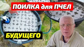 Поилка для пчел на пасеке с нуля Поилка будущего