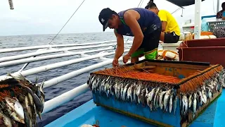 Ito ang Pang Malakihang Isda, Matinding Hilaan, Inabot na ng Gabi sa kahihila