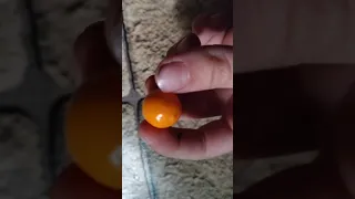 мини апельсин