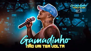 Gamadinho - NÃO VAI TER VOLTA