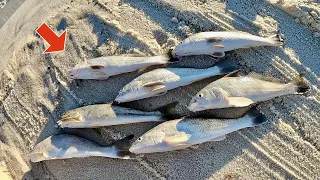 Catch MORE Fish While SURF FISHING! on the GULF Coast (Learn to Cook Your Catch)