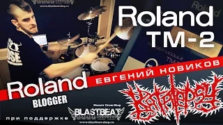 Roland Blogger  - триггерный модуль TM-2 c Евгением Новиковым