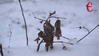 Прогноз погоди на 10 січня у Хмельницькій області