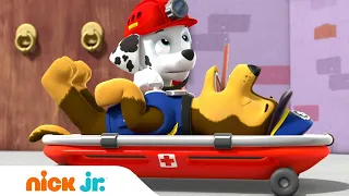 Щенячий патруль | Гончик заболел! | Nick Jr. Россия