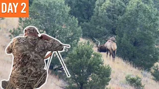 SO CLOSE on Opening Day! | New Mexico Elk Sweepstakes (EP.2)