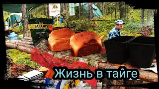 СВЕЖИЙ ХЛЕБ В ТАЙГЕ. ПРИПОЛЯРНЫЙ УРАЛ. Bushcraft ( # 4/6 )