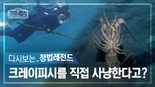 [정법레전드🏆] 포기란 없다! 수중사냥 제대로 하는 완전체 [정글의법칙 | SBS 141121방송]