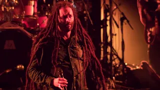 Alborosie - Kingston Town (Live at Couleur Café 2018)