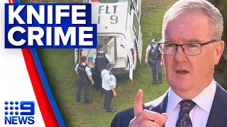 NSW government set to crack down on knife crime | 9 News Australia