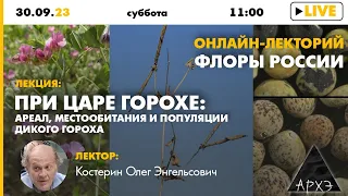 Лекция Олега Костерина "При царе Горохе: ареал, местообитания и популяции дикого гороха"