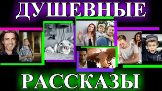 ДУШЕВНЫЕ РАССКАЗЫ❤️ЧУЖОЙ СЫН❤️НЕЧАЯННАЯ РАДОСТЬ❤️НА ПТИЧЬИХ ПРАВАХ❤️ГОЛОСОВОЕ СООБЩЕНИ@TEFI РАССКАЗЫ